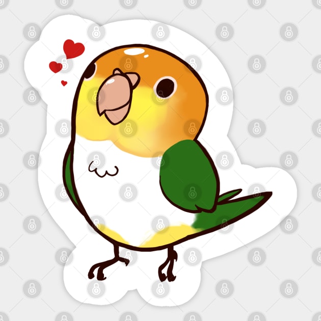 Caique 2 Sticker by Shemii